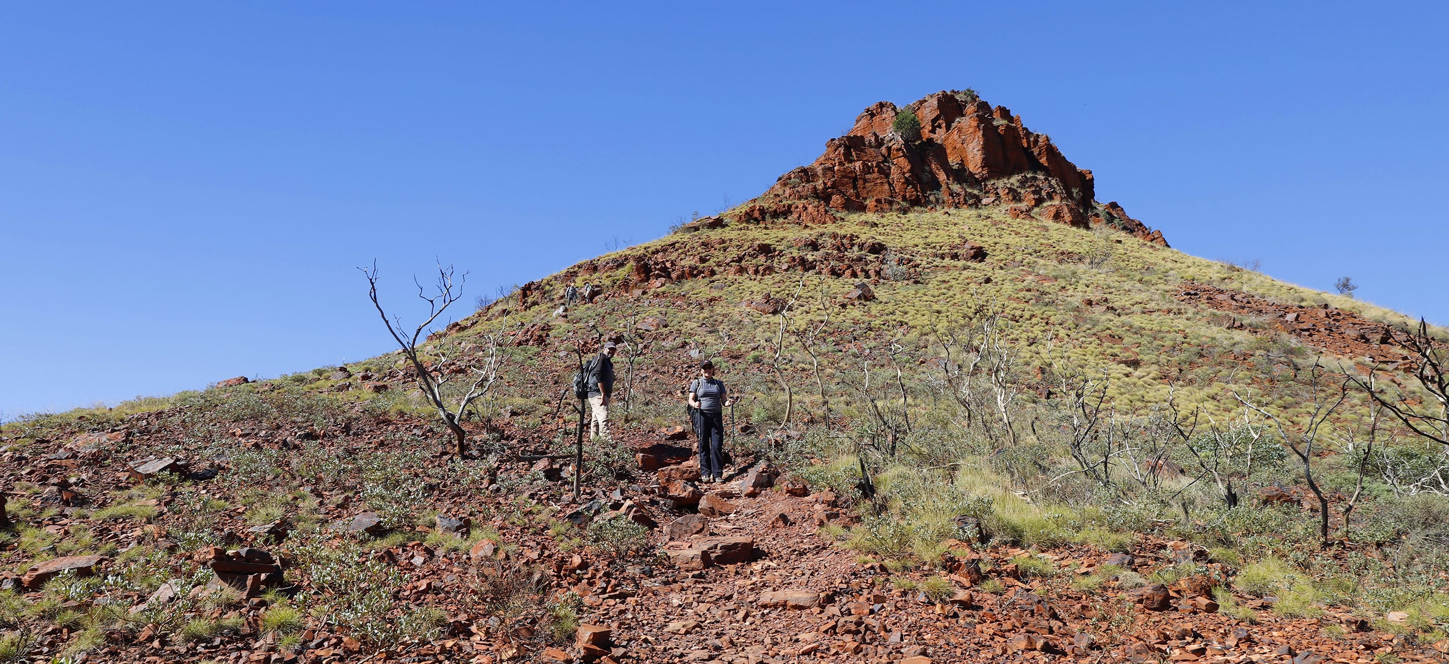 West Oz Active Adventure Tours Mount Bruce Summit